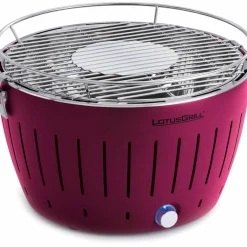 Rökfri kolgrill Grön