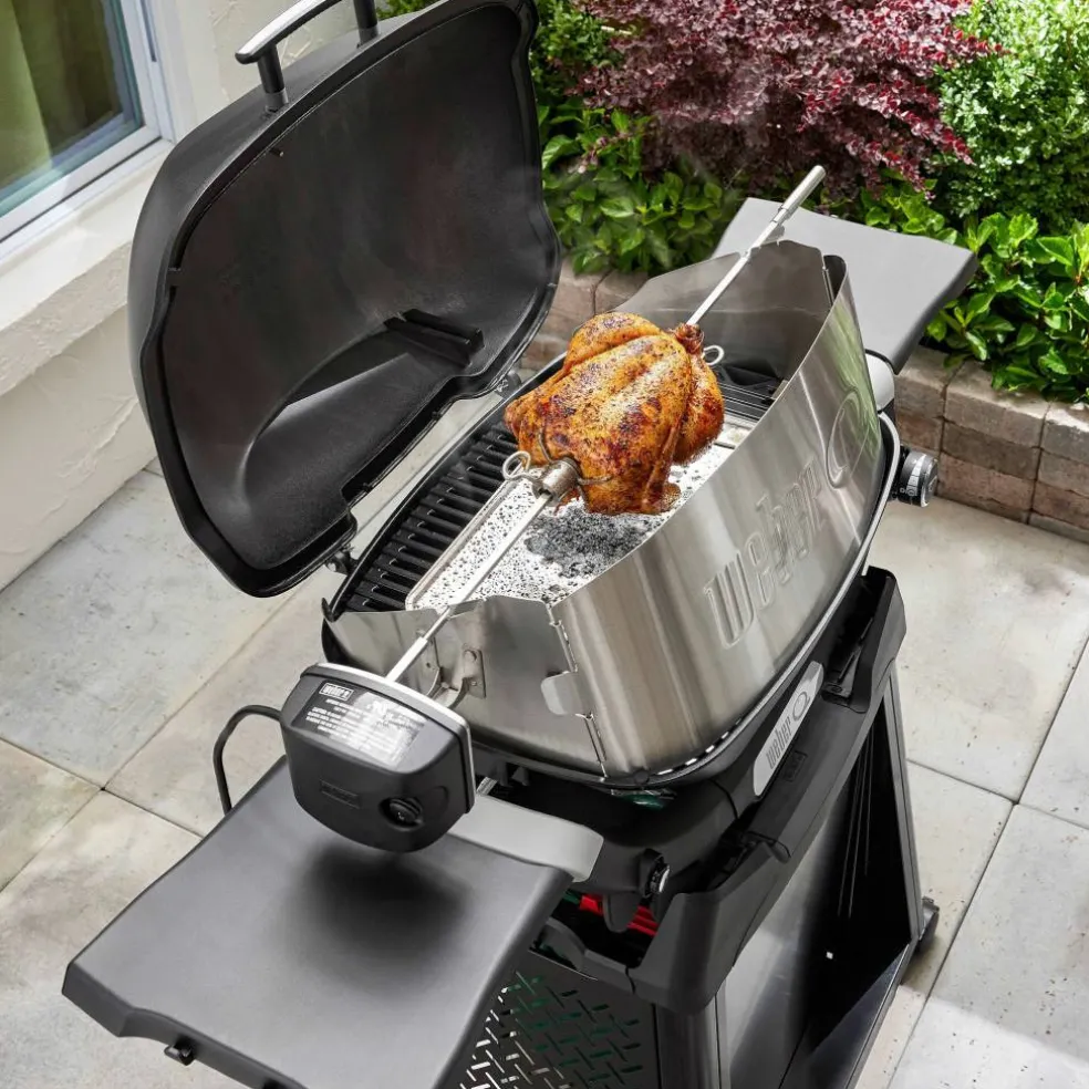 Rotisserie till Q3000N-serien