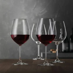 Salute Burgundy vinglas 81 cl 4-pack