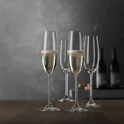 Salute champagneglas 21 cl, 4-pack