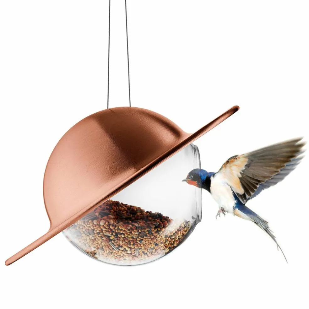 Saturn fågelmatare, svart