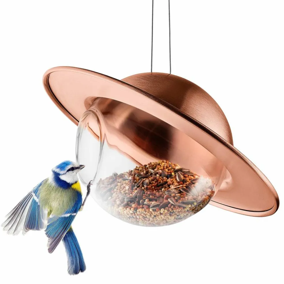 Saturn fågelmatare, svart