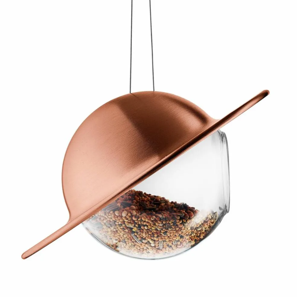 Saturn fågelmatare, svart