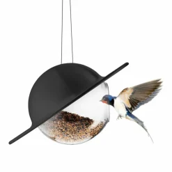 Saturn fågelmatare, svart