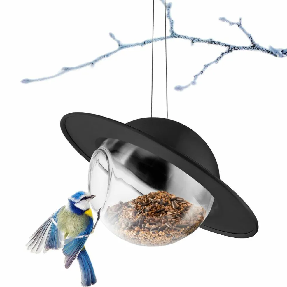 Saturn fågelmatare, svart