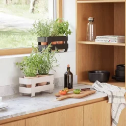 Självvattnande Herb Organiser, svart