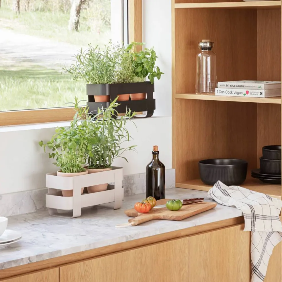 Självvattnande Herb Organiser, svart