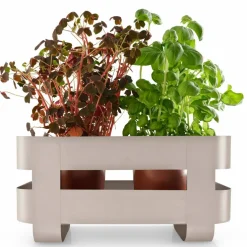 Självvattnande Herb Organiser, svart