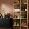 Självvattnande Herb Organiser Vit