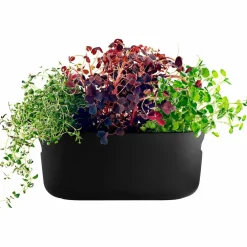 Självvattnande Herb Organiser Vit