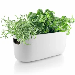 Självvattnande Herb Organiser Svart