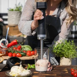 Sladdlös stavmixer 12V med batteri