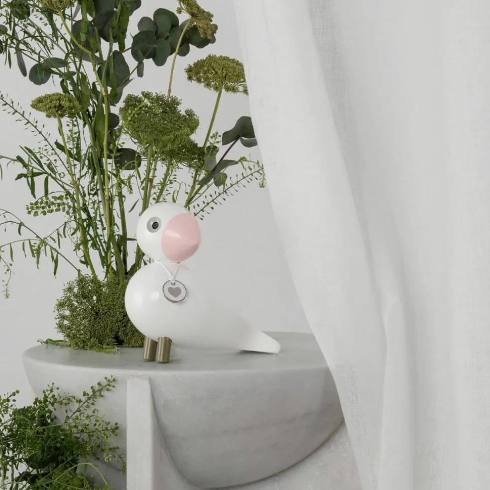 Sångfågel Kay