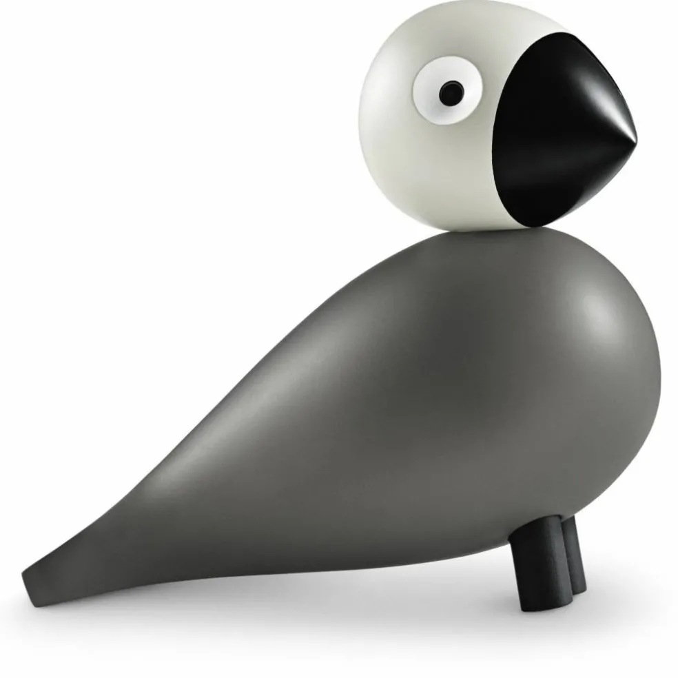 Sångfågel Kay