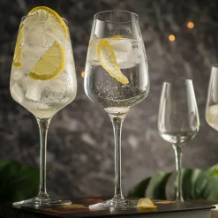 Sublym vitvinsglas 25 cl 6-pack
