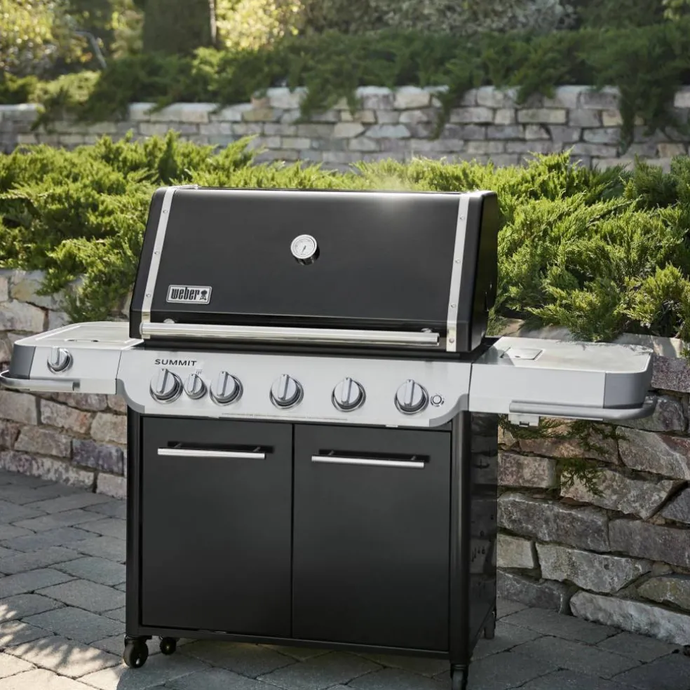 Summit FS38 E Gasolgrill