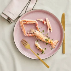 Tallrik Gastro 27 cm grå/rosa Bit
