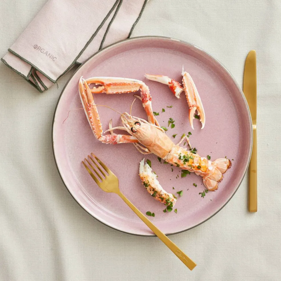 Tallrik Gastro 27 cm grå/rosa Bit