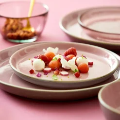 Tallrik Gastro 21 cm grå/rosa Bit