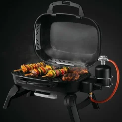 TQ240 portabel gasolgrill