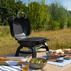 TQ240 portabel gasolgrill