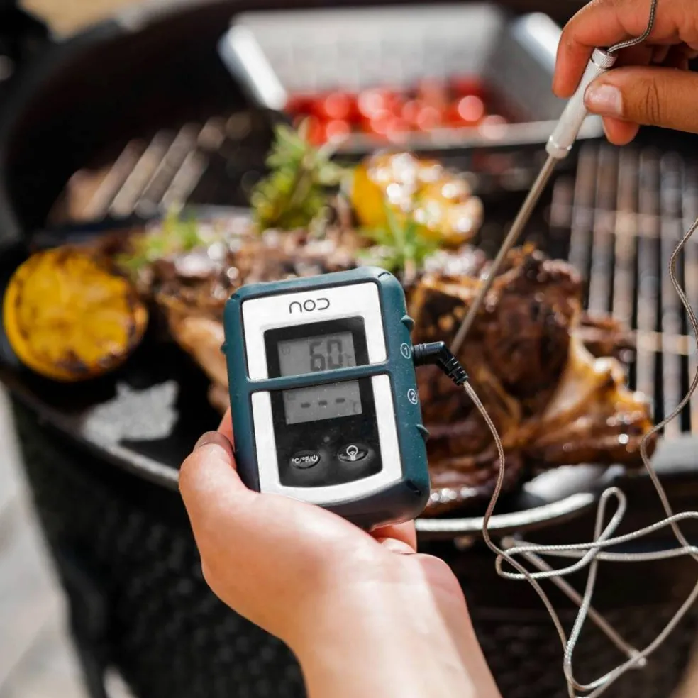 Trådlös grill/stektermometer