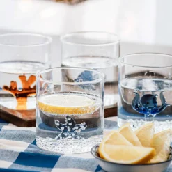 Tumblerglas 4 st, havstema