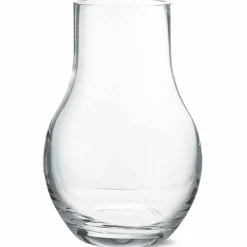 Vas medium, glas