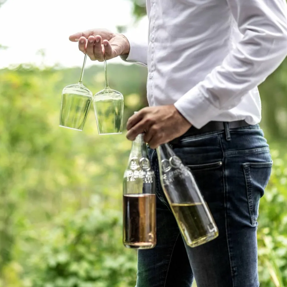 Vervino Chardonnay vitvinsglas 48 cl, 2-pack