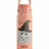 Warner Bros WMB ONE flaska 0,6 liter, Harry Potter
