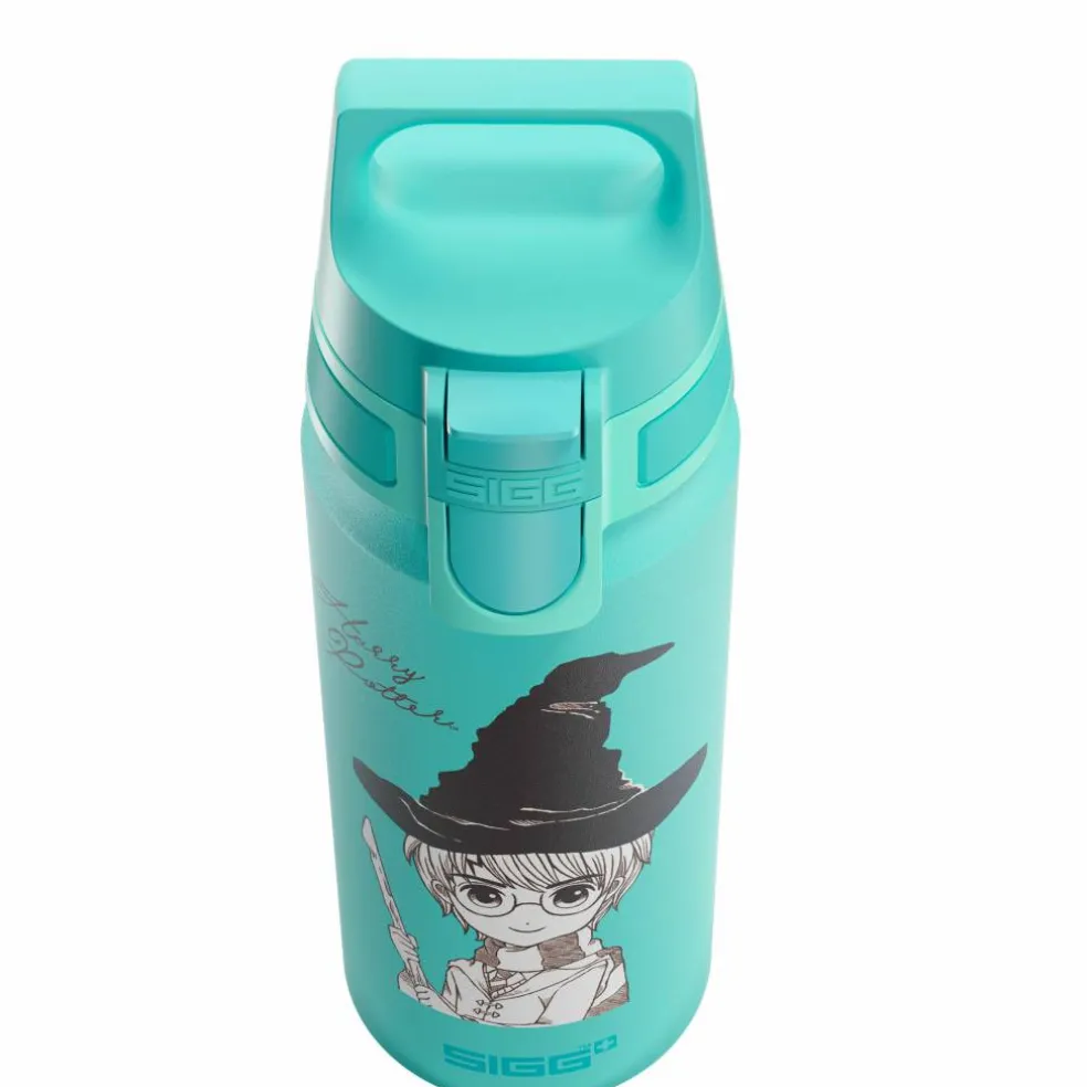 Warner Bros WMB ONE flaska 0,6 liter, Harry Potter