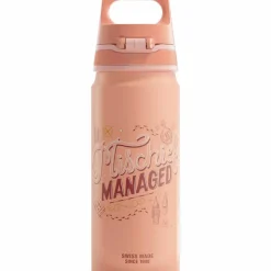 Warner Bros WMB ONE flaska 0,6 liter, Harry Potter