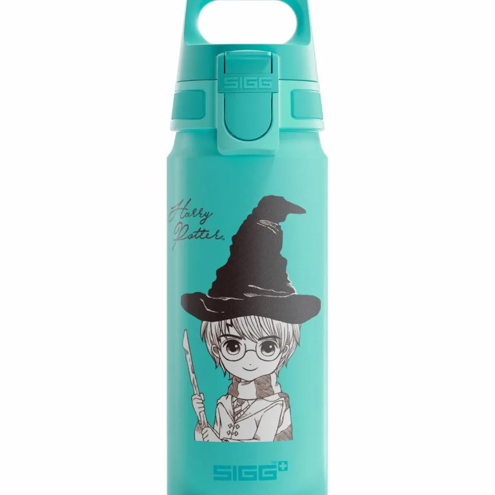 Warner Bros WMB ONE flaska 0,6 liter, Harry Potter
