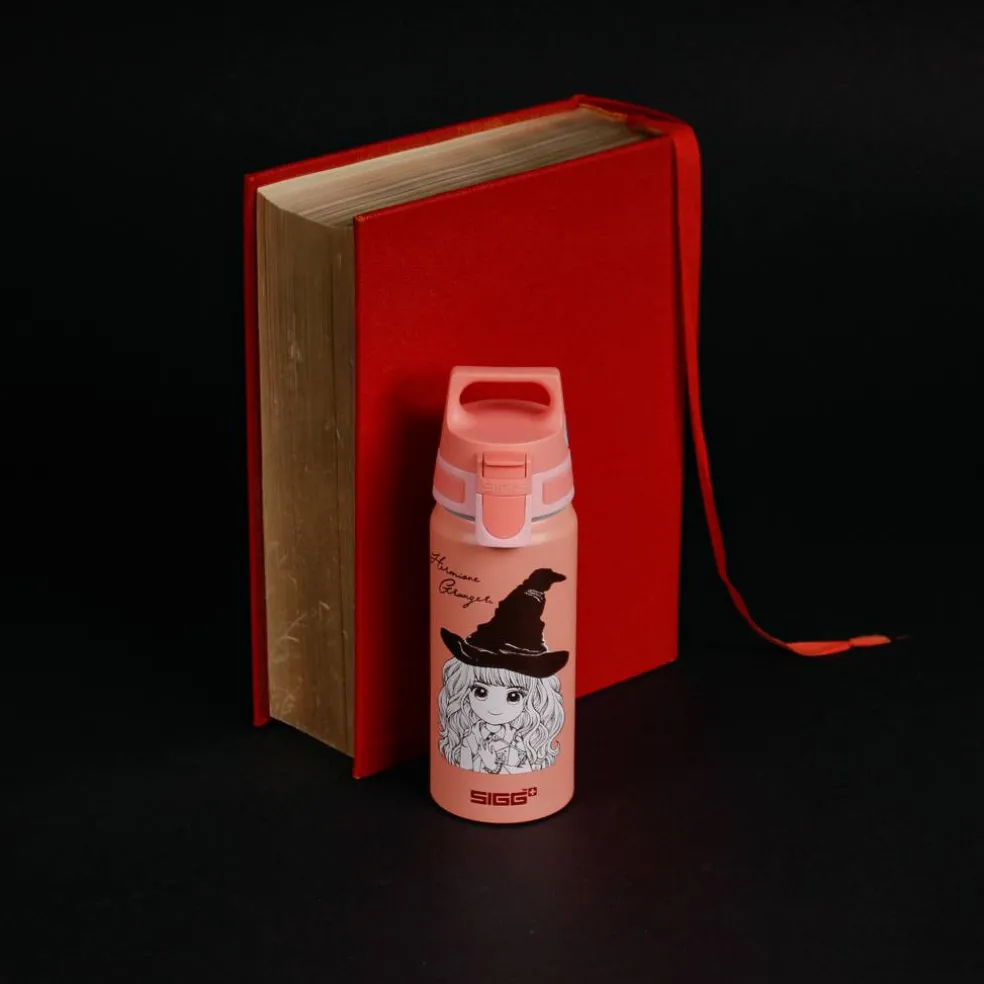 Warner Bros WMB ONE flaska 0,6 liter, Harry Potter