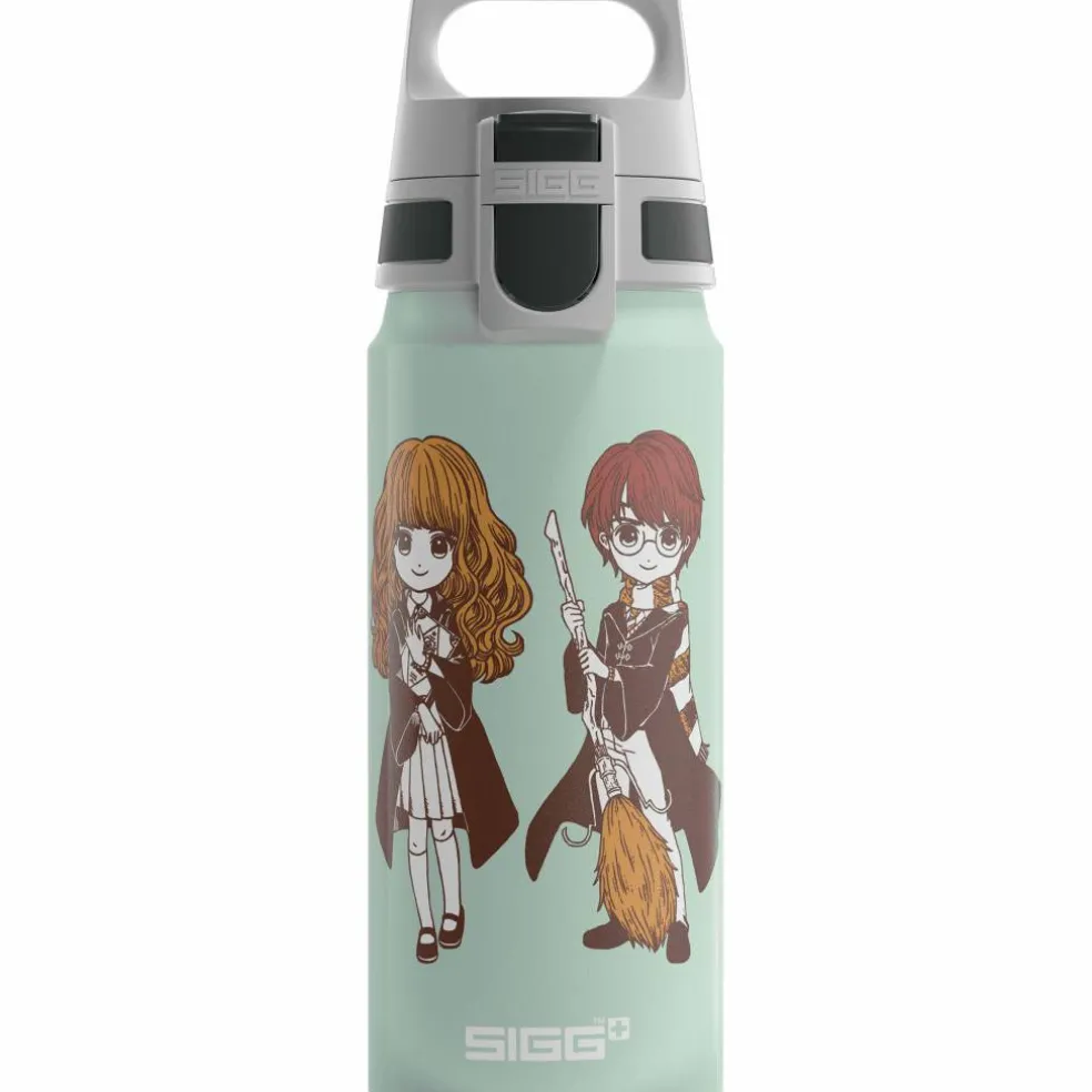 Warner Bros WMB ONE flaska 0,6 liter, Harry Potter