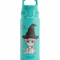 Warner Bros WMB ONE flaska 0,6 liter, Batman Action Blue