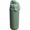 Wellspring termosflaska 0,71 liter, purple smoke