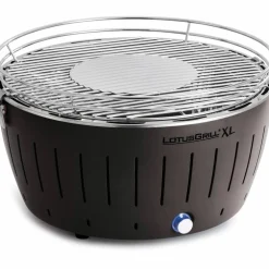 XL Rökfri kolgrill Grön
